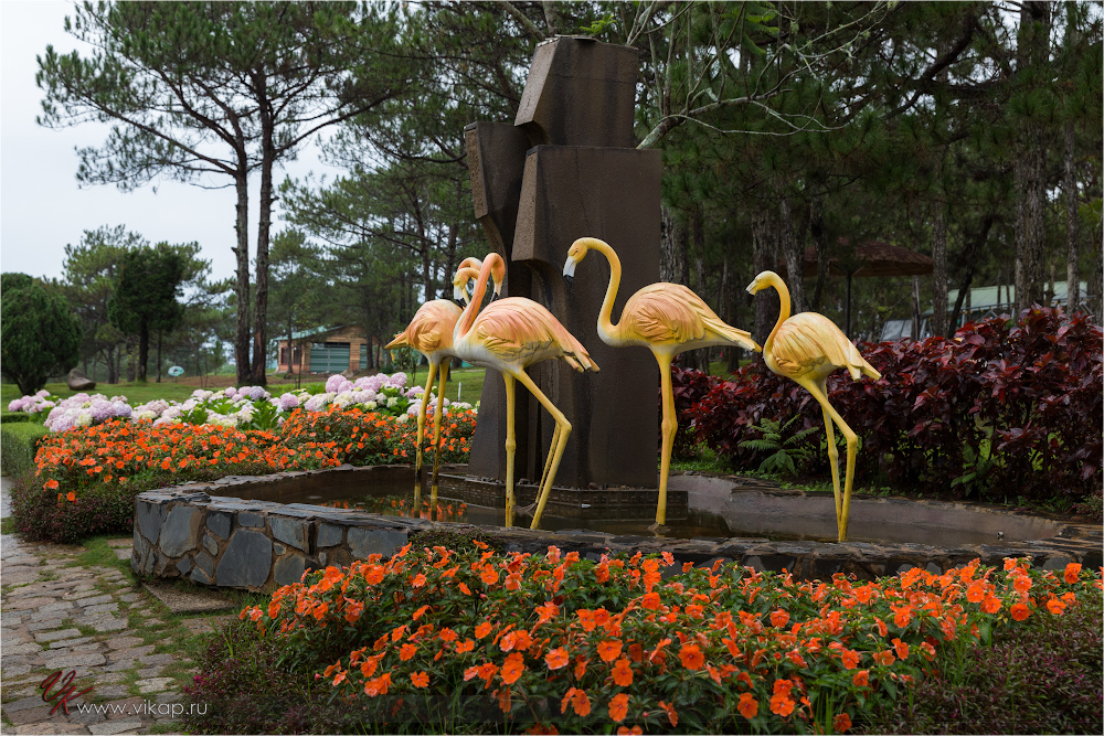 20140512 13 25 52 WED 8979