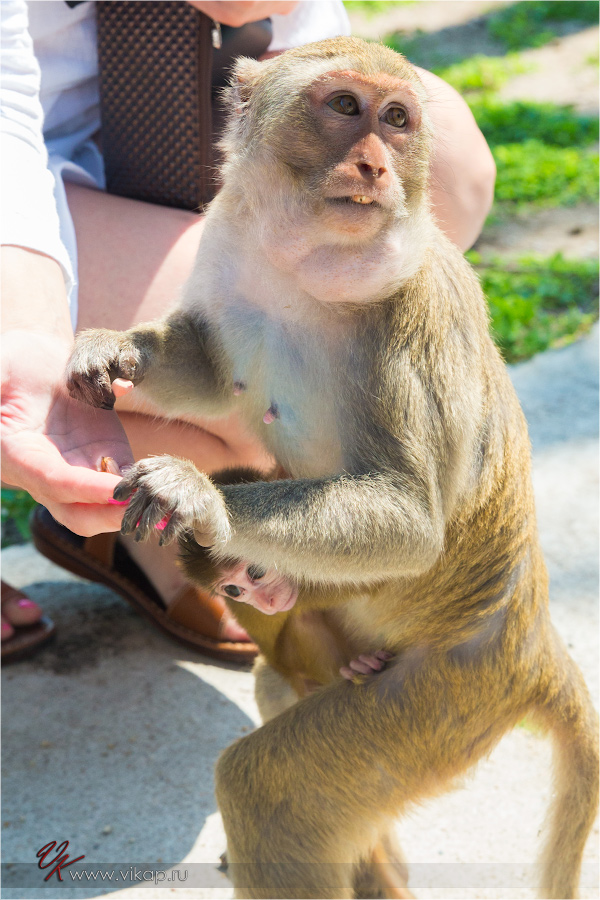 20140515 06 18 55 WED 9498