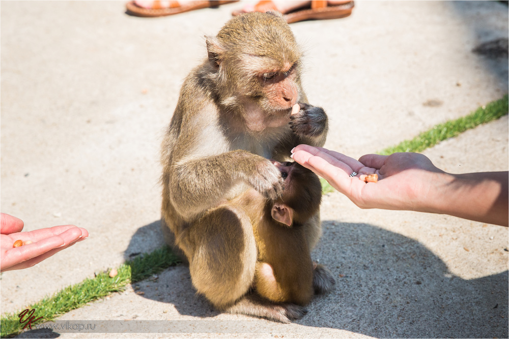 20140515 06 19 10 WED 9504