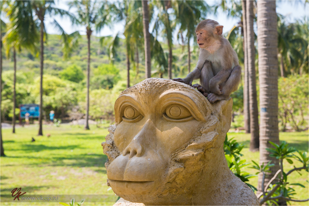 20140515 06 24 32 WED 9532