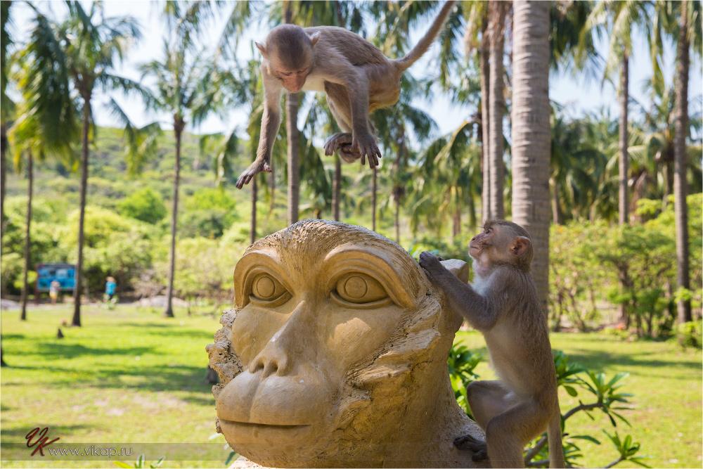 20140515 06 24 32 WED 9533