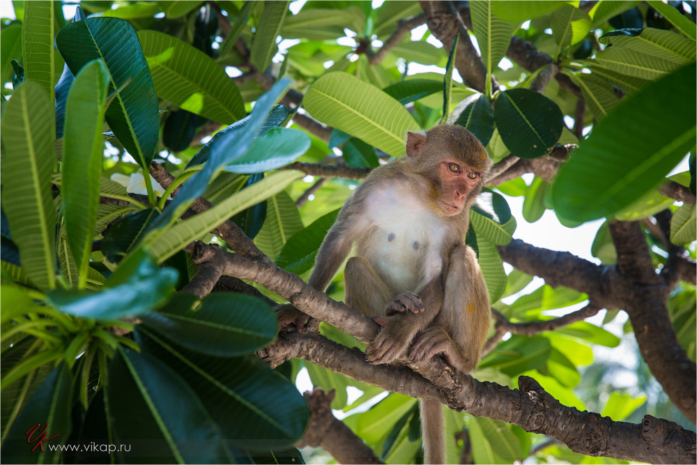 20140515 06 54 49 WED 9564