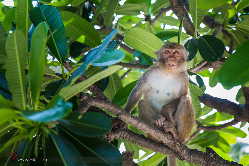 20140515 06 54 54 WED 9565