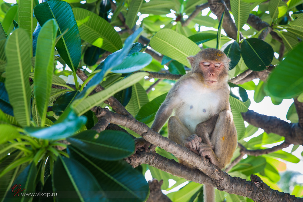 20140515 06 54 55 WED 9566