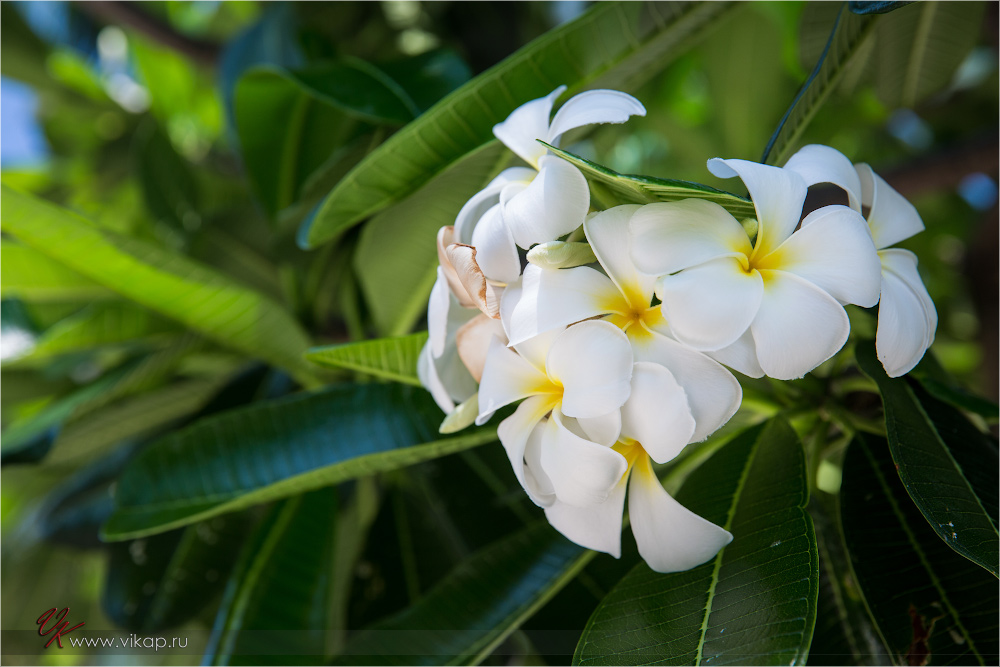 20140515 06 57 13 WED 9577