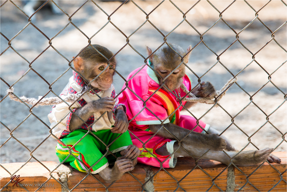 20140515 06 59 24 WED 9580