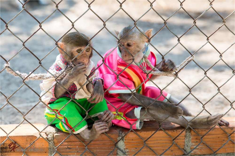 20140515 06 59 25 WED 9582