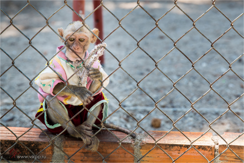 20140515 06 59 30 WED 9583