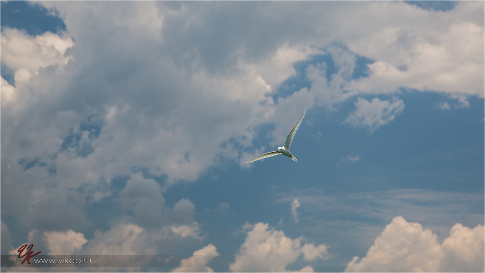 20140515 08 00 59 WED 9674