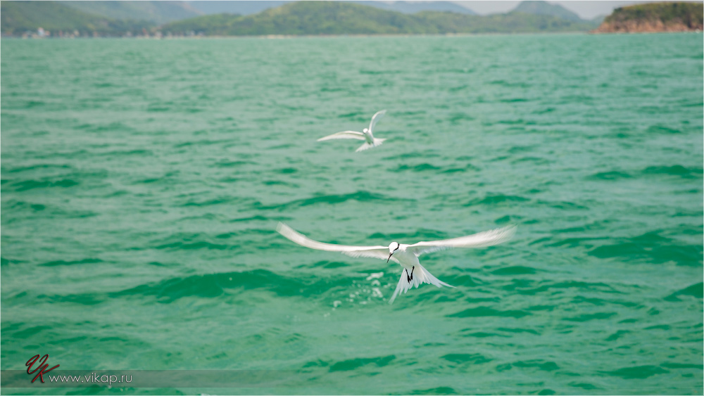 20140515 08 07 58 WED 9717