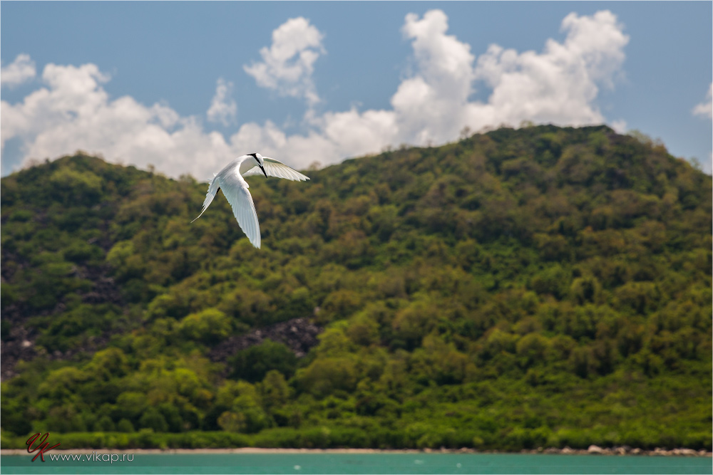 20140515 08 09 13 WED 9722