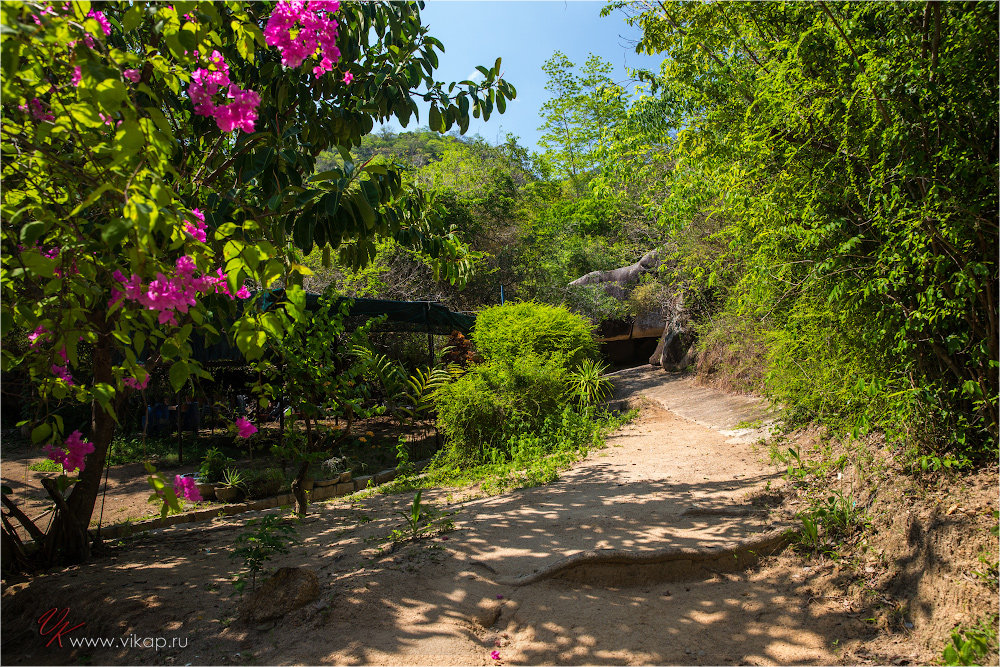 20140515 11 01 47 WED 9844