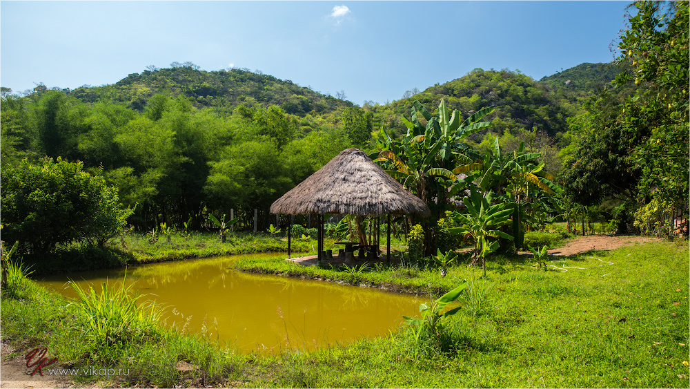 20140515 11 04 19 WED 9847