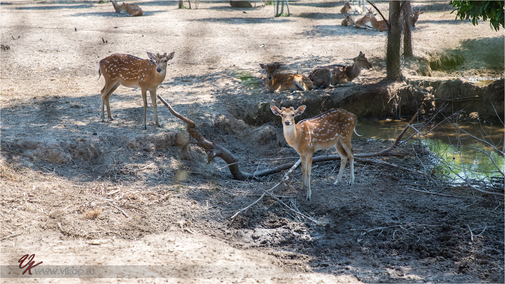 20140515 11 11 42 WED 9861