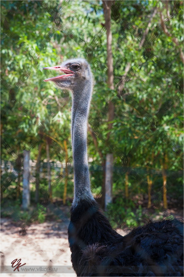 20140515 11 13 48 WED 9866