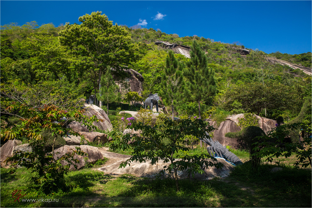 20140515 11 15 04 WED 9872