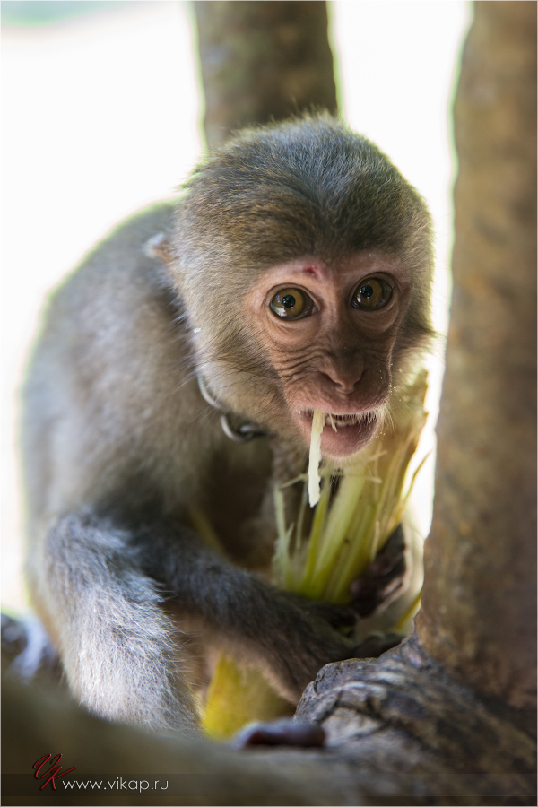 20140515 11 26 40 WED 9905