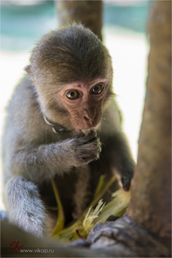 20140515 11 26 56 WED 9914