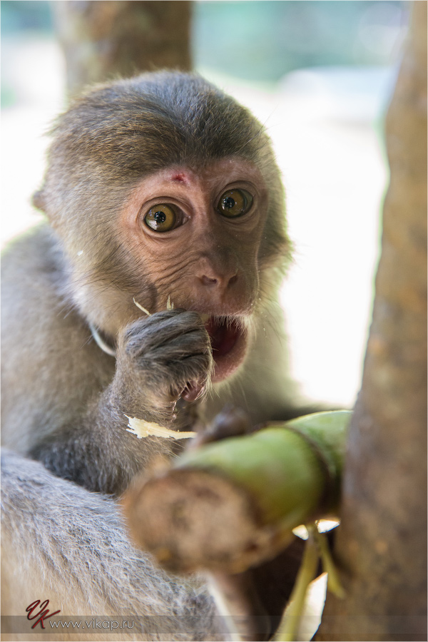 20140515 11 27 25 WED 9918