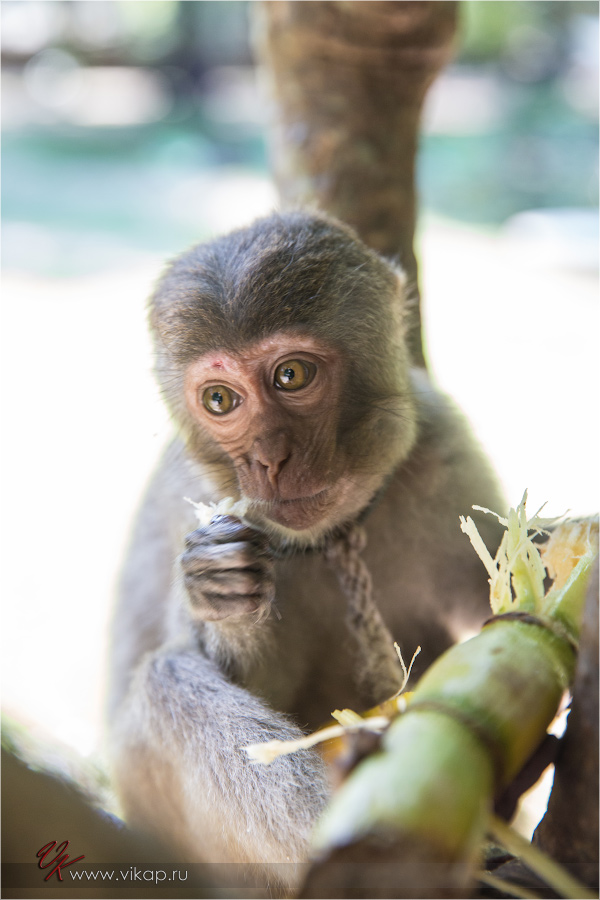 20140515 11 27 37 WED 9922