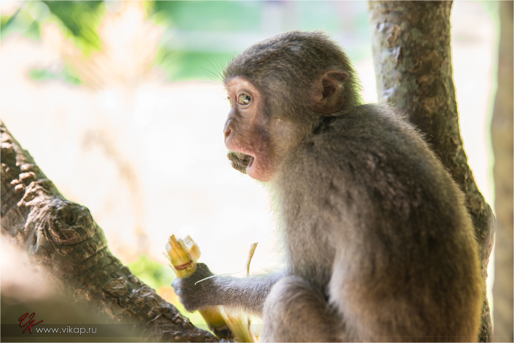 20140515 11 30 21 WED 9932