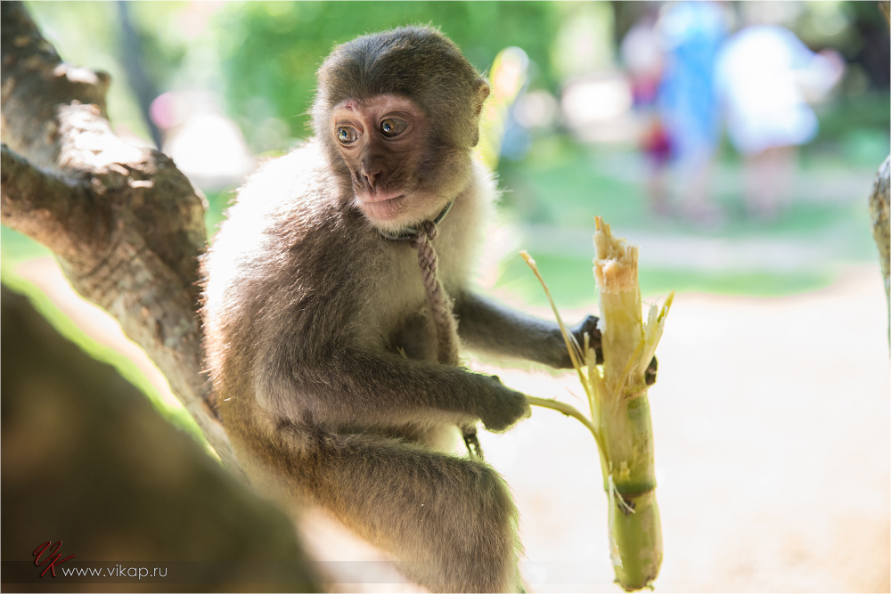 20140515 11 30 31 WED 9934