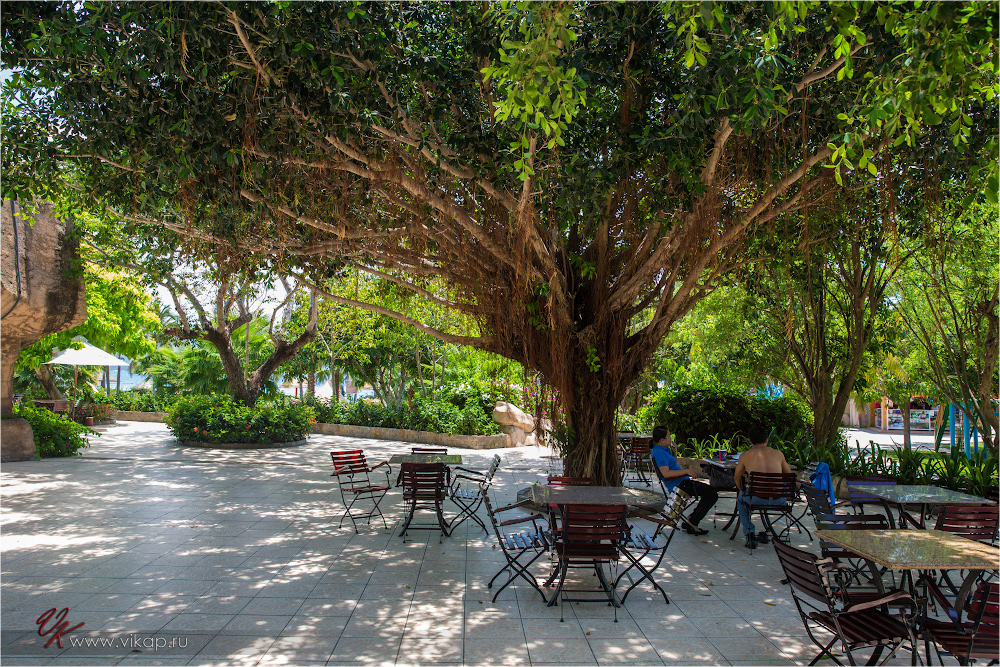 20140516 09 39 23 WED 0185