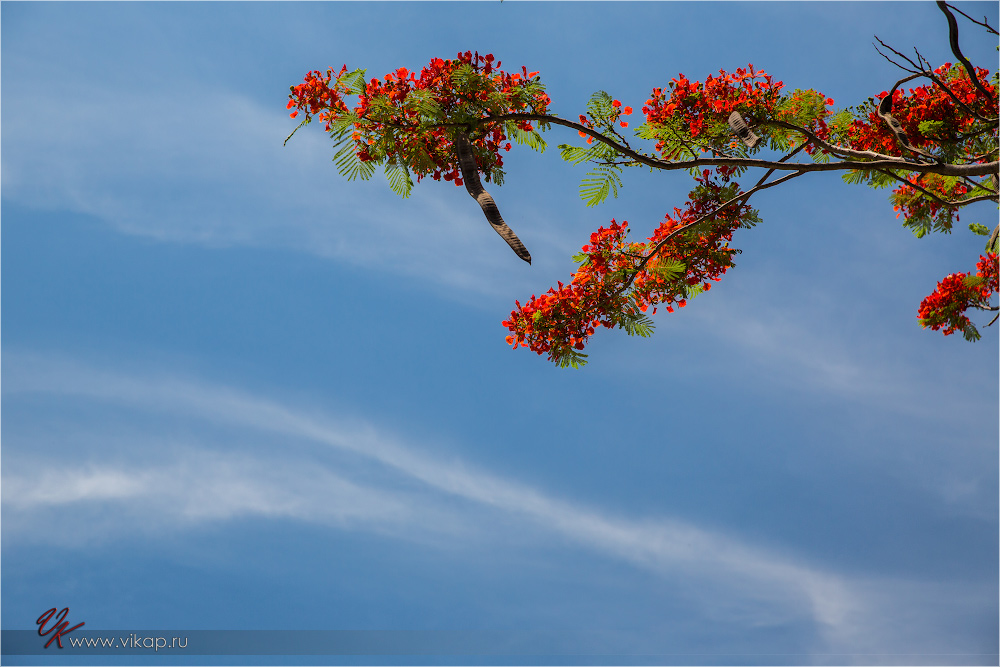 20140516 09 45 54 WED 0197