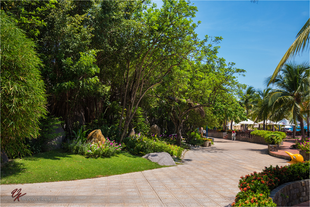 20140516 09 59 01 WED 0204