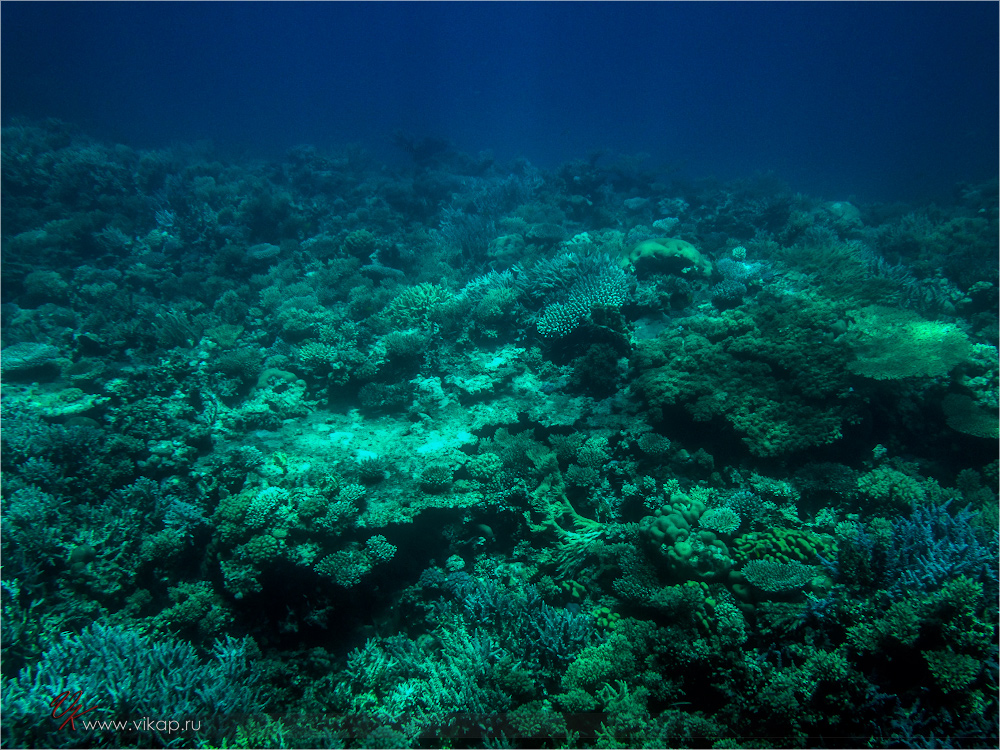 20140708 10 54 49 IMG 1863