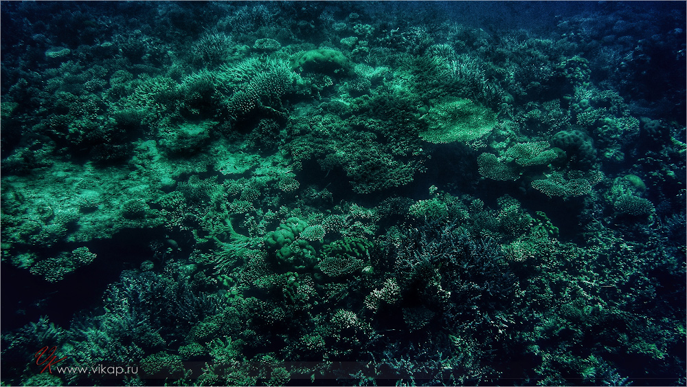 20140708 10 54 51 IMG 1934