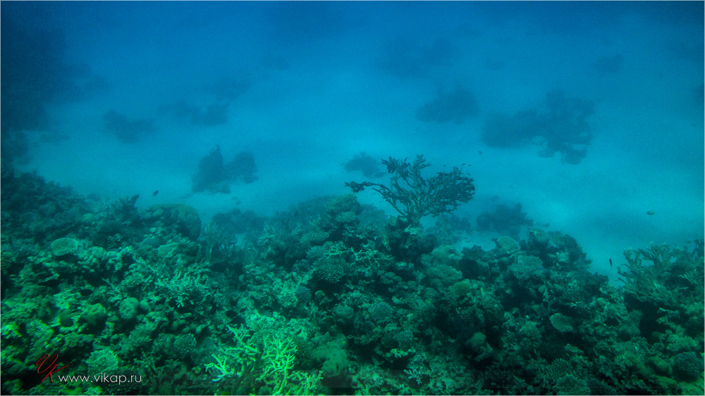 20140708 10 56 33 IMG 1870