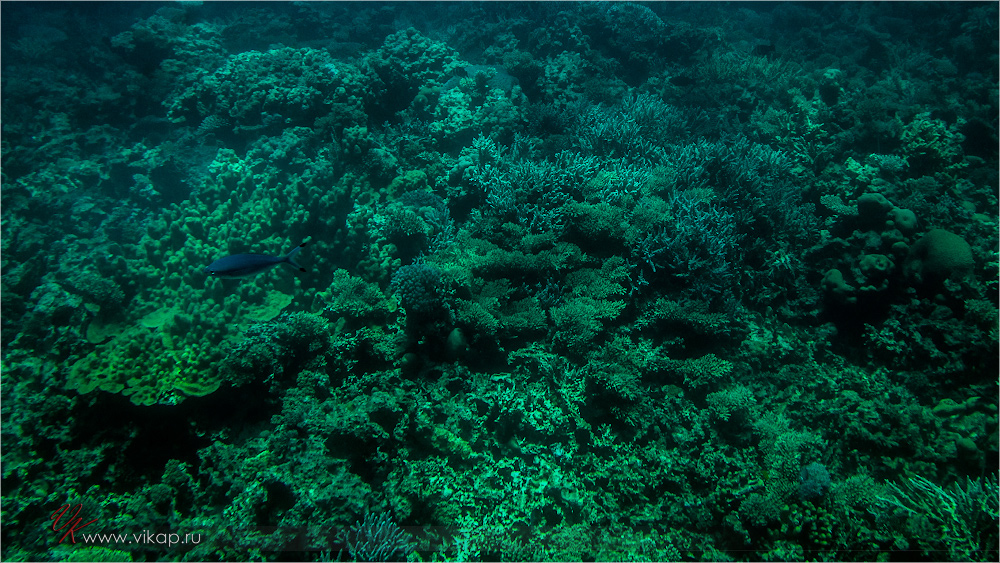 20140708 11 03 13 IMG 1893