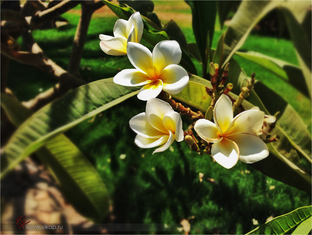 20140710 10 08 06 IMG 1974