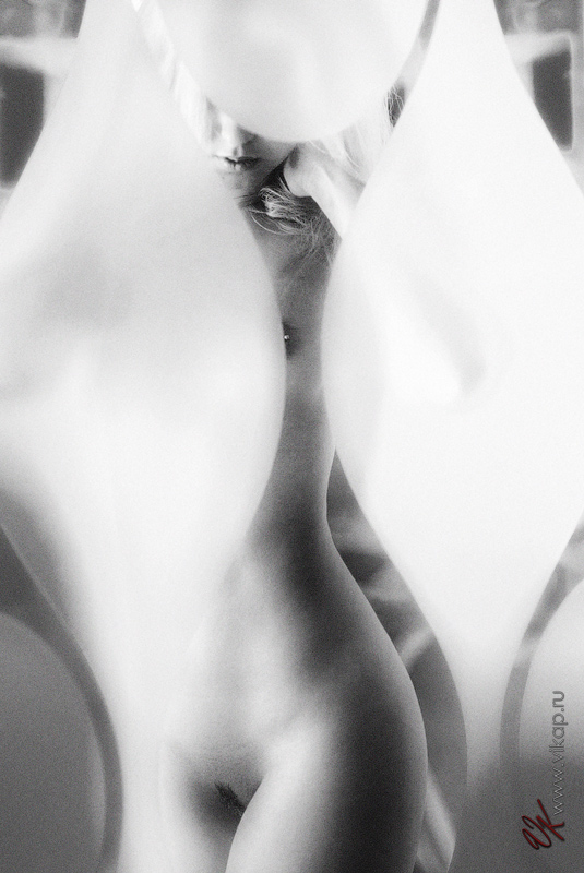 20130210 12 36 18 WED 8530 3